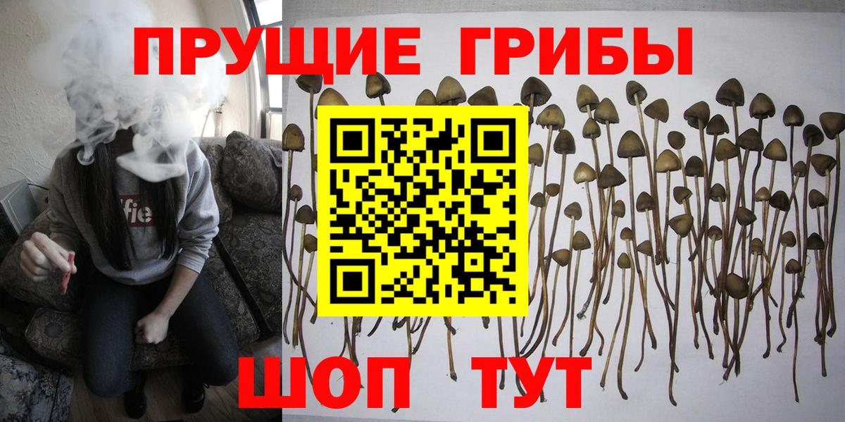 наркота  Вход с VPN  Ставрополь  Галлюциногенные грибы Psilocybine cubensis  Псилоцибиновые грибы Magic Shrooms 