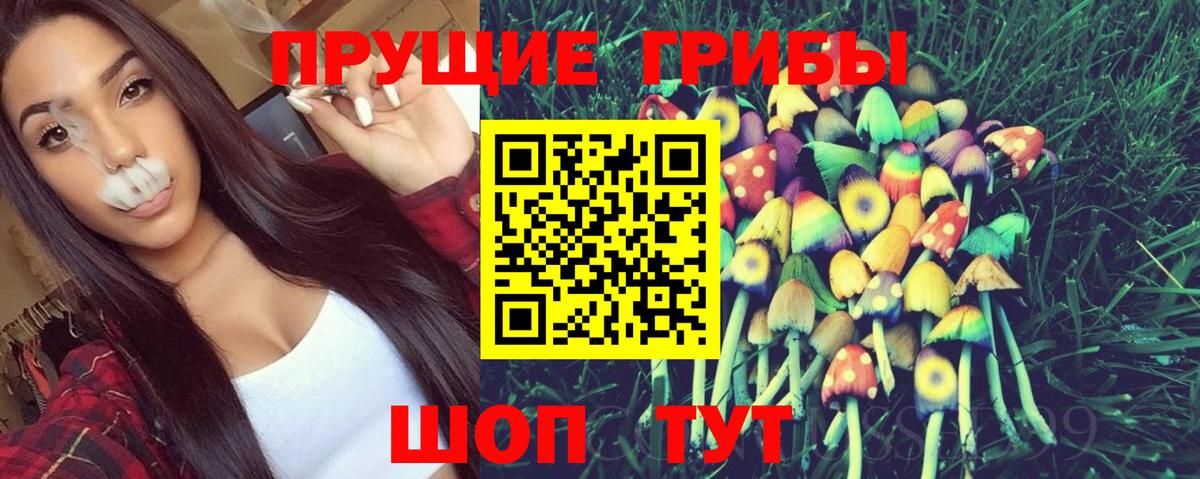 Галлюциногенные грибы Psilocybine cubensis Ставрополь
